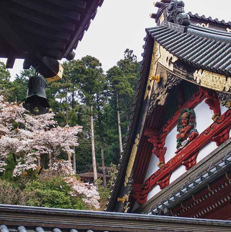 eco tours japan temples and shrine tours in yamanashi and mt fuji world heritage site area