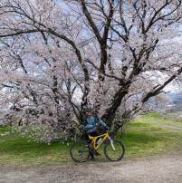 Eco Tours Japan Cycling and MTB tours in Yamanashi Japan and Mt Fuji 5 lakes world heritage area.