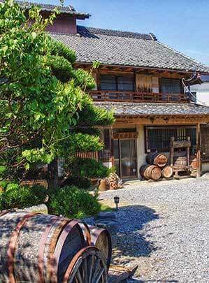 Eco Tours Japan winery and wine tasting tours in Katsunuma Yamanashi Japan