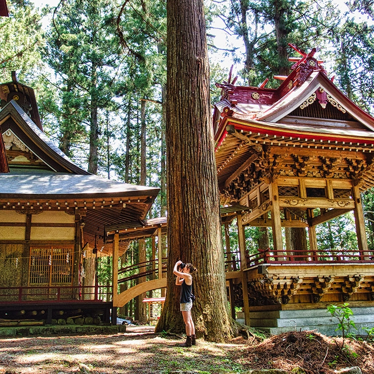 Private guided experience in Yamanashi with Eco Tours Japan