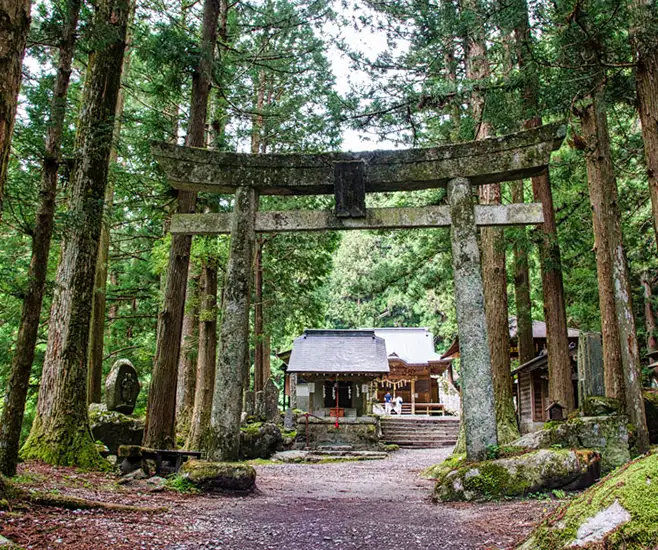 Eco Tours Japan private tour in Yamanashi