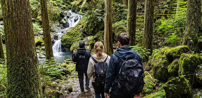 Private guided walking and light hiking tour in Yamanashi Japan