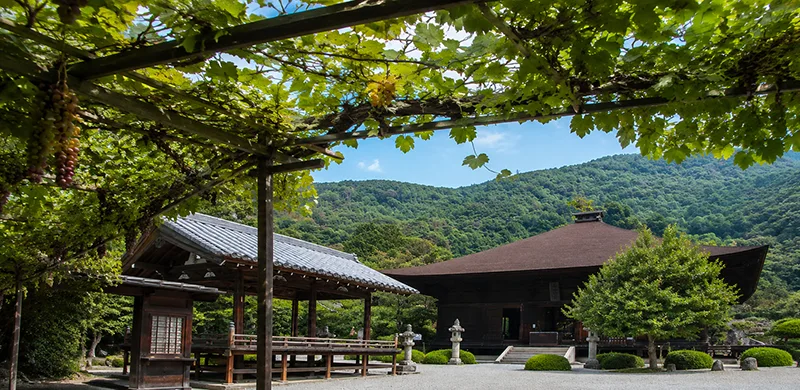Daizenji Temple with grape vines in Koshu heritage area of Yamanashi