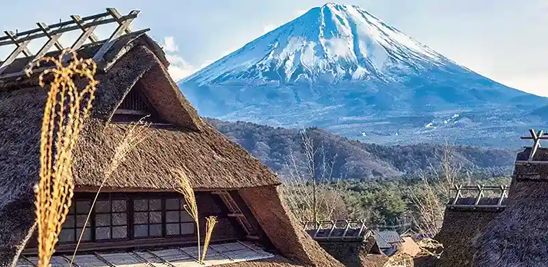 Mt Fuji hiking and walking tour in Yamanashi