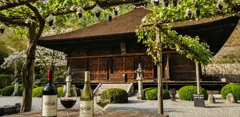 Daizenji grape temple and wine day